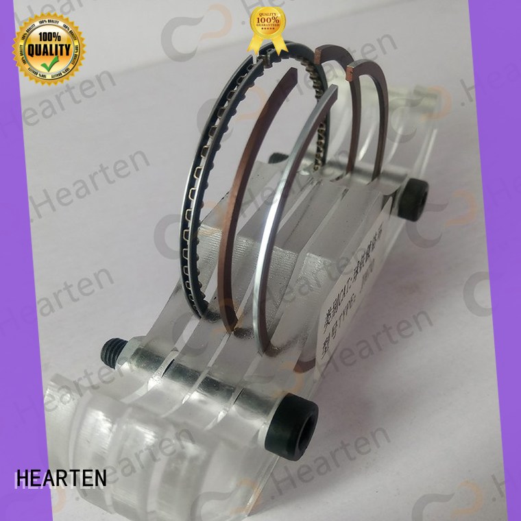 real standard piston ring company cast iron factory for ford